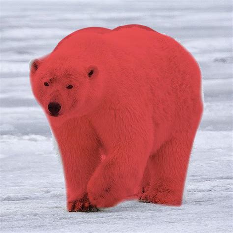 Interesting protoworld where polar bears are red and fun on r/notinteresting : r/worldjerking