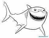Finding Nemo Coloring Pages  Disneyclipscom sketch template