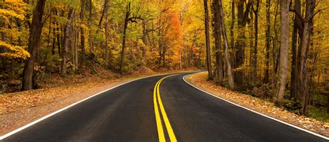 Free Images : landscape, tree, nature, forest, countryside, leaf, fall, highway, asphalt ...