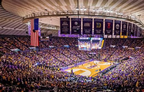 LSU Tigers Men's Basketball Tickets - StubHub