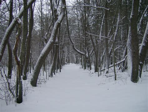 Broken Arrowhead: NW Ohio Winter Storm.....