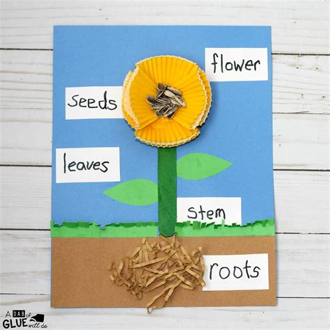 Parts of a Flower Craft | Parts of a flower, Plants kindergarten, Flower activities for kids