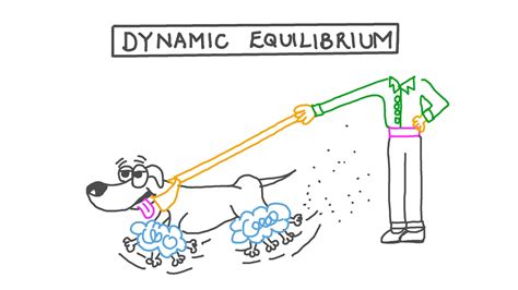 Dynamic Chemical Equilibrium Definition Examples Vide - vrogue.co