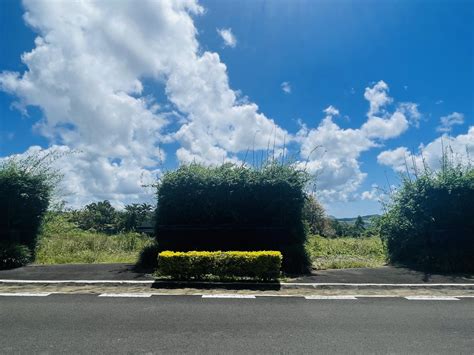 Serene Heights: A Prime Plot with Mountain Views - SEEFF Mauritius