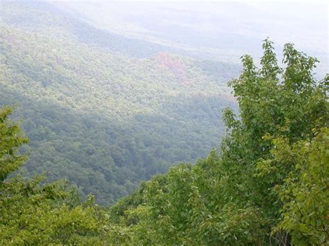 National Forests in Virginia