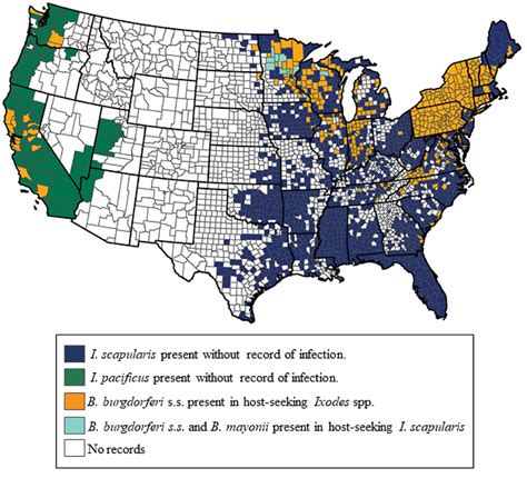 U.S. distribution of Lyme disease-causing bacteria in ticks - Entomology Today