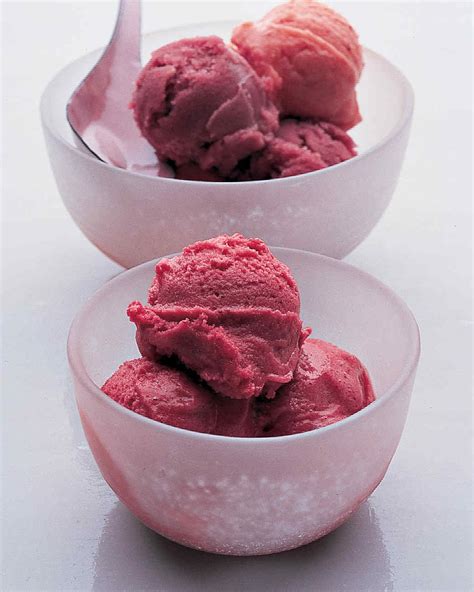 Raspberry Sorbet Recipe | Martha Stewart