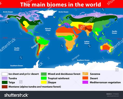 Biotope. Earth'S Terrestrial Biomes. Map Stock Photo 137936693 ...