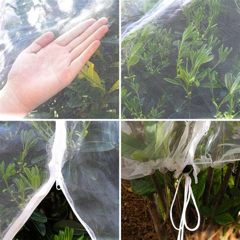 10 Best Garden Netting To Protect Your Flora and Fauna | Storables