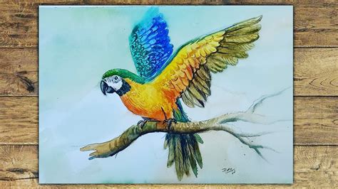 Watercolor Paintings Of Parrots