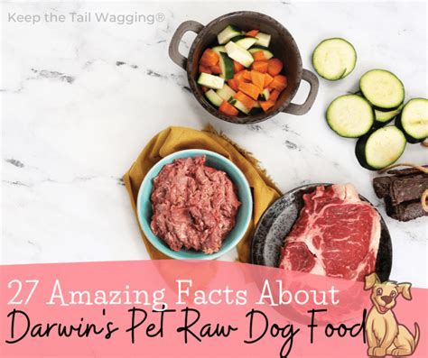 27 Amazing Facts About Darwin’s Pet Raw Dog Food