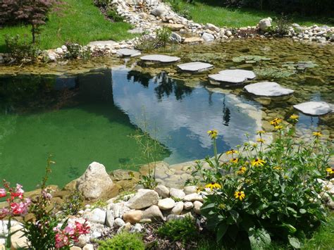 Swimming Pool Pond, Natural Swimming Ponds, Natural Pond, Pond Landscaping, Ponds Backyard ...