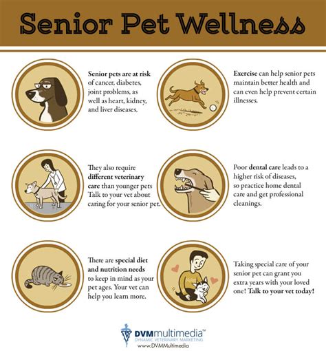 Senior Pet Care Tips - Community Care Animal Hospital