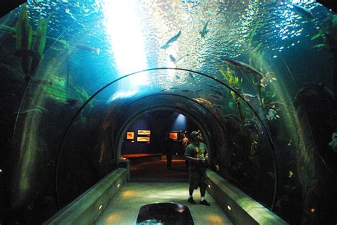 Tourism: Oregon Coast Aquarium