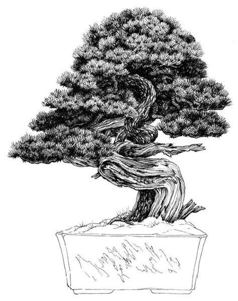 41 best images about Bonsai Art on Pinterest | Trees, Bonsai trees and Acrylics