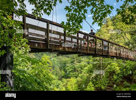 Suspension Bridge over the Tallulah River in Tallulah Gorge State Park ...