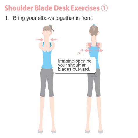 Shoulder-Blade Exercises to Burn Fat Fast A Healthy Way | Slism