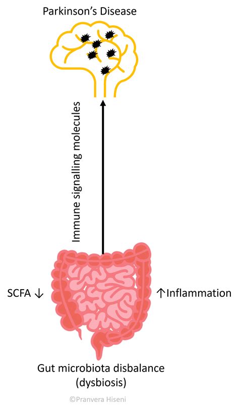 GA-Map | Gut Microbes, Gut Feelings and Our Brains