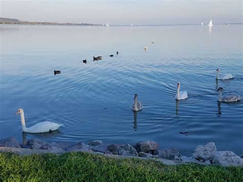 Lake Balaton, Hungary 2017 - Break the Crust