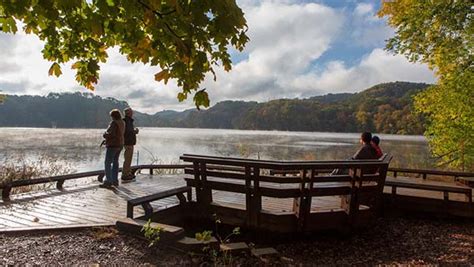 Home | Friends of Radnor Lake | Tennessee's First Natural Area