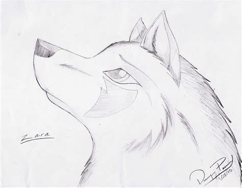 Easy Wolf Head Drawing at GetDrawings | Free download