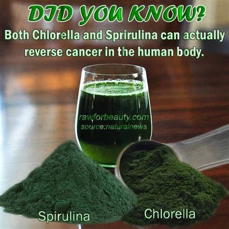 Chlorella and spirulina benefits | Anti-Cancer | Pinterest