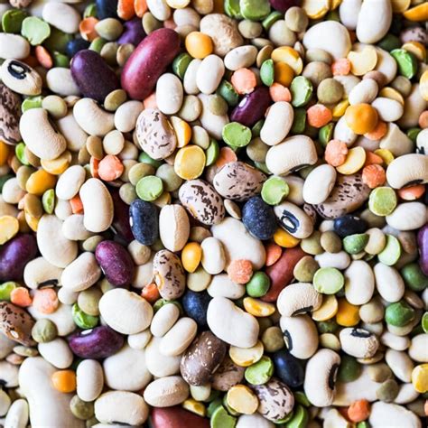 Legumes 101: Everything You Need to Know About Legumes