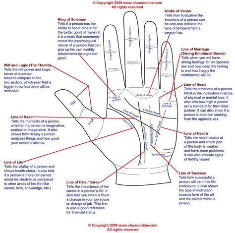 Basic Palm Reading, Palm Reading Charts, Types Of Temperament ...