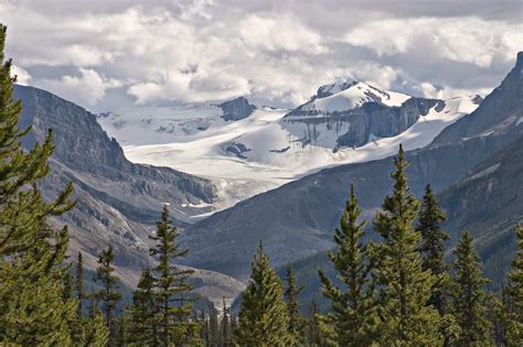 Essay-eh: Peyto Glacier