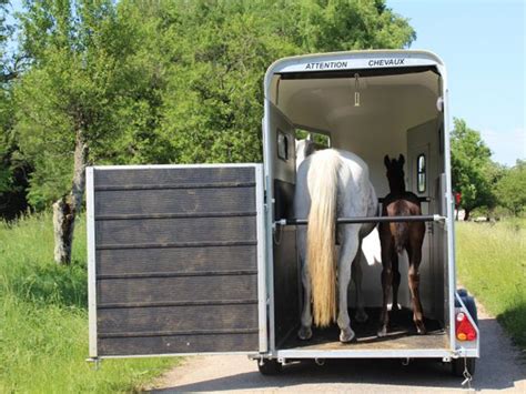 Cheval Liberte horse trailers UK sales | Cheval horse boxes for sale ...