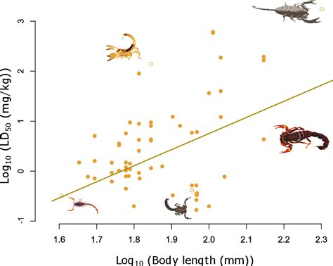 Figure 1 from Scorpion Species with Smaller Body Sizes and Narrower Chelae Have the Highest ...