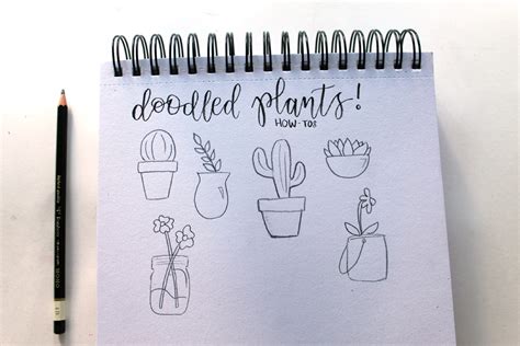 How to Doodle: 6 Plants to Draw! - Tombow USA Blog