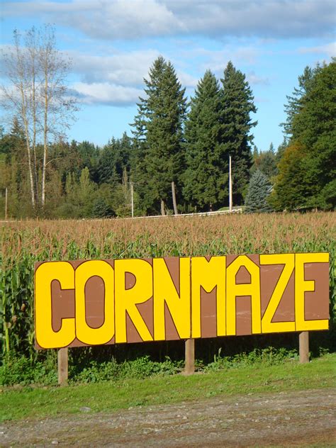 Corn Maze entrance at the farm | Corn maze, Family farm, Farm