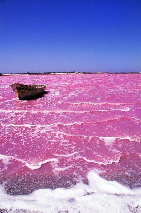 11 Best Lake retba ideas | lake retba, lake, beautiful places