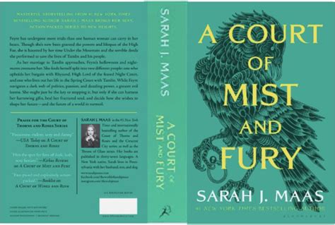 a court of mist and fury by sarah i maas book cover design, with an owl ...