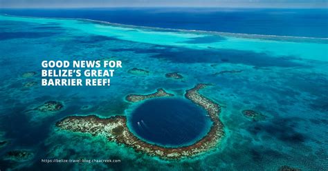 Good news For Belize’s Great Barrier Reef!