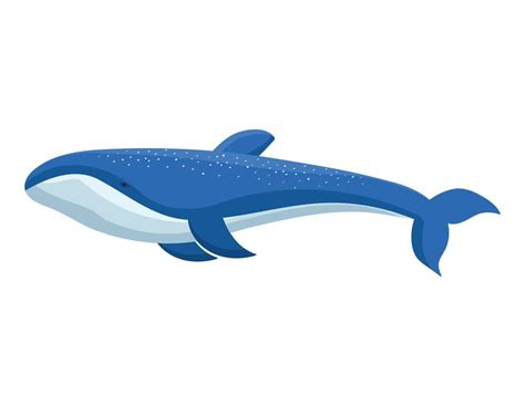 blue whale design 21380747 Vector Art at Vecteezy