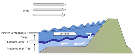 The components of a storm surge. Thus a storm surge is composed of the ...