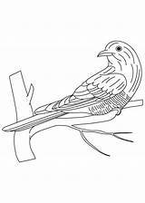 Cuckoo Coloring Template Clock Pages Kids Sundial Time Clocks Gif  sketch template