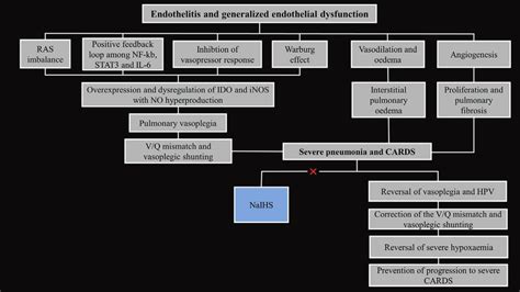 Potential therapeutic effects of NaIHS on pulmonary vascular ...