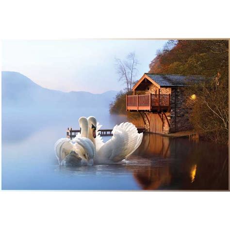 Swan painting on canvas a pair of swans are a symbol of love