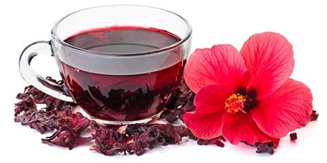 Zobo Leaf Png - We sale zoboleaves (hibiscus leaves ), we export to any country. - Wanderer ...