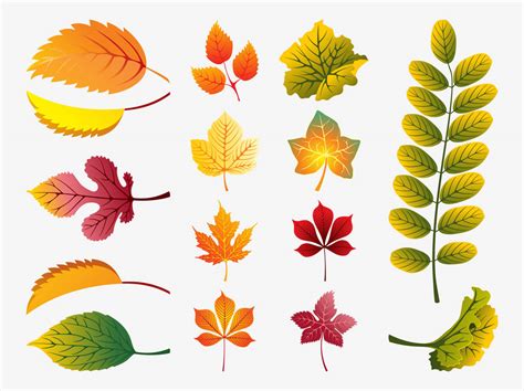 Fall Leaves Vector Vector Art & Graphics | freevector.com