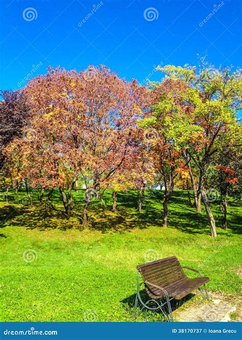 Autumn park and bench stock image. Image of foliage, beautiful - 38170737