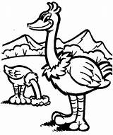 Ostrich coloring Page  Animals Town color Sheet sketch template