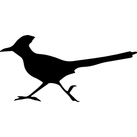 Bird roadrunner shape icon