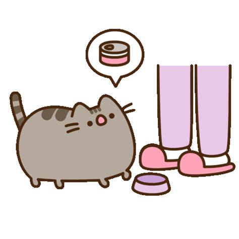 a cat standing next to a person's feet