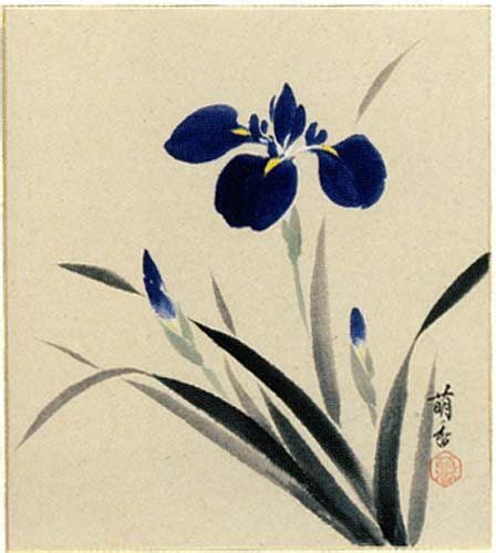 Japanese Iris Painting at PaintingValley.com | Explore collection of Japanese Iris Painting