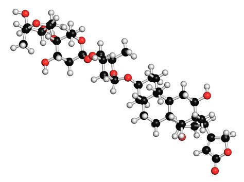 Digoxin Heart Failure Drug Molecule Photograph by Molekuul - Fine Art ...