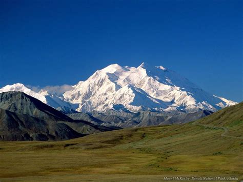 Winter Wallpaper - Bing Images | Denali national park alaska, National parks, Denali national park